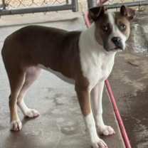 Thumbnail photo of Cara #2