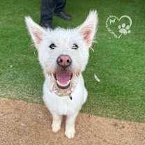 Thumbnail photo of Gureum #2