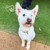 Thumbnail photo of Gureum #3