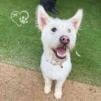 Thumbnail photo of Gureum #4