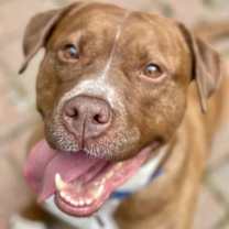 Thumbnail photo of Wemberly #3