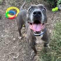 Thumbnail photo of Daisy (Roberta) #1