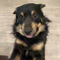 Thumbnail photo of Charlie #3