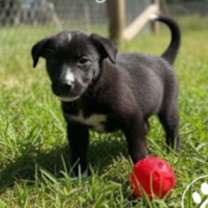 Thumbnail photo of Amy Lou #1