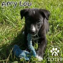 Thumbnail photo of Amy Lou #2