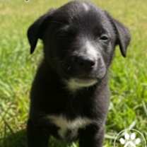 Thumbnail photo of Amy Lou #3