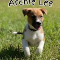 Thumbnail photo of Archie Lee #1