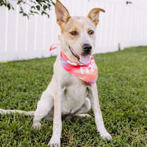 Thumbnail photo of Elsa #2