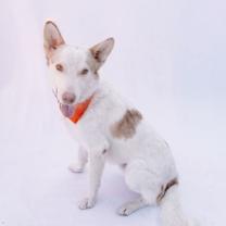 Thumbnail photo of Todd #3