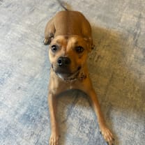 Thumbnail photo of Kix #1