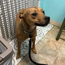 Thumbnail photo of Kix #2