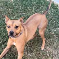 Thumbnail photo of Kix #4