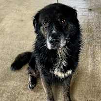 Thumbnail photo of John #2