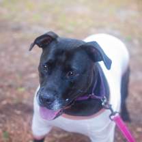 Thumbnail photo of Katherine #3