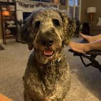 Thumbnail photo of Zeke #2