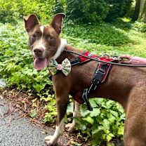 Thumbnail photo of Luna #2