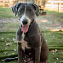 Thumbnail photo of Lena #1