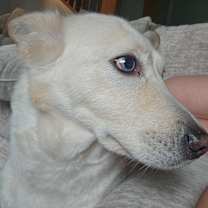 Thumbnail photo of Bella #3