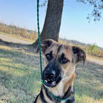 Thumbnail photo of Julia #3