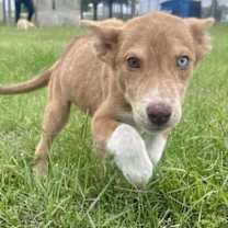 Thumbnail photo of Sami #3