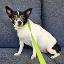 Thumbnail photo of Georgia #3