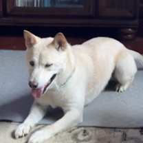 Thumbnail photo of Junior #1