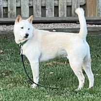 Thumbnail photo of Junior #2