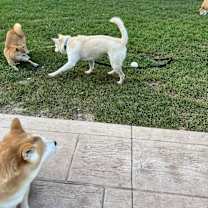 Thumbnail photo of Junior #3