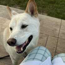 Thumbnail photo of Junior #4