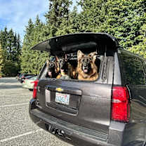 Thumbnail photo of Larissa #4