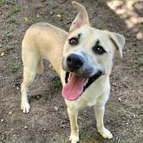 Thumbnail photo of Prince #3