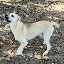 Thumbnail photo of Prince #4