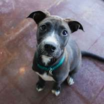 Thumbnail photo of Rossi #1