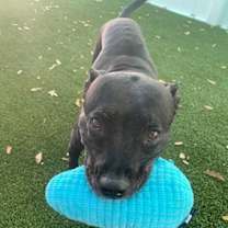 Thumbnail photo of Sasha #2