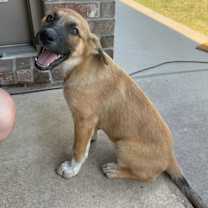 Thumbnail photo of Clementine #1