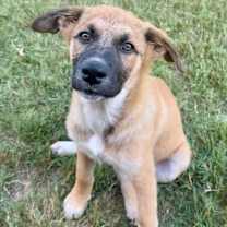 Thumbnail photo of Clementine #2