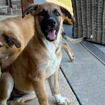 Thumbnail photo of Clementine #3