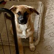 Thumbnail photo of Clementine #4