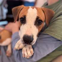 Thumbnail photo of Jessie #2