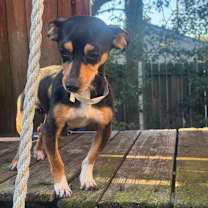 Thumbnail photo of Bugs #4