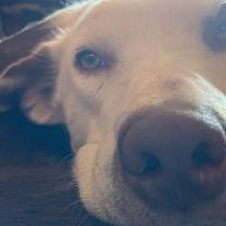 Thumbnail photo of Slim #1