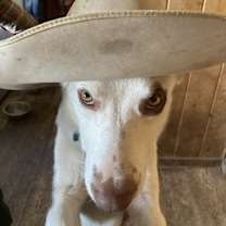 Thumbnail photo of Slim #2