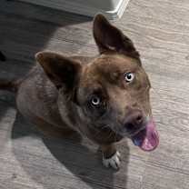 Thumbnail photo of Tejas and Tabasco #1