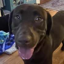 Thumbnail photo of Nova and Eddie #2