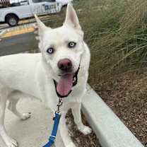 Thumbnail photo of Mona #2