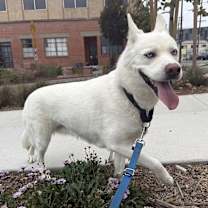 Thumbnail photo of Mona #4