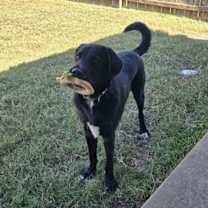 Thumbnail photo of Duce (New Digs) #1