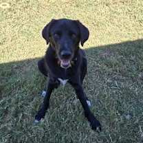 Thumbnail photo of Duce (New Digs) #2