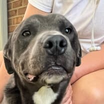 Thumbnail photo of Mulligan #2