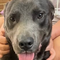 Thumbnail photo of Mulligan #3